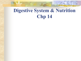 Digestive System & Nutrition Chp 14 Vocabulary Digestion
