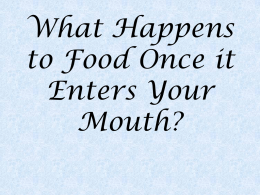 What Happens to Food Once it Enters Your Mouth?