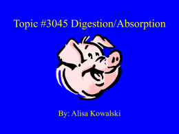 Topic #3045 Digestion/Absorption