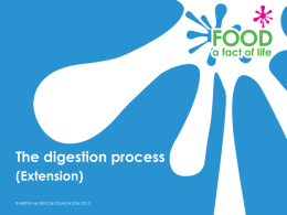 Digestion extension.