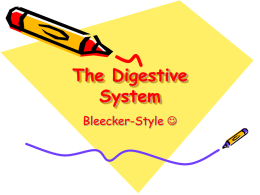 DigestiveSystem_Teacher
