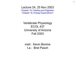 powerpoint version - University of Arizona