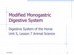 Horse Science