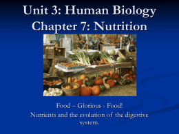 Unit 11: Nutrition