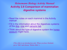 Comparison of mammalian digestive systems
