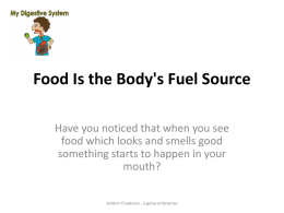 Food Is the Body`s Fuel Source