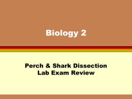 Biology 2 - jb004.k12.sd.us