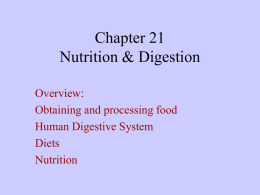 Chapter 21 Nutrition & Digestion