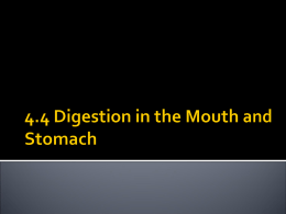 9.4 Digestion in the Mouth and Stomach
