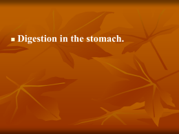 Lecture 34. Digestion in the stomach