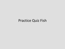 Practice Quiz Fish