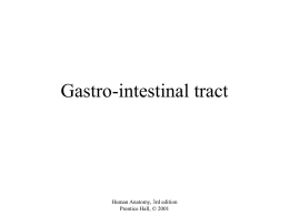 28. Gastro-intestinal tract
