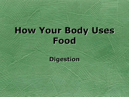 How your body uses food