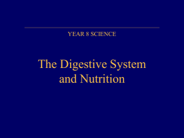 AOS 2.2. Digestive system