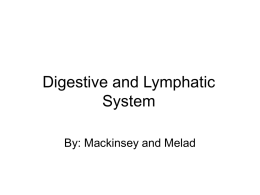 Digestive and Lymphatic System