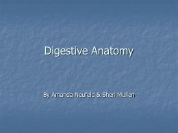 The digestive system is a complex system consisting of the oral