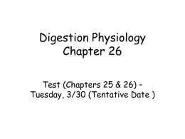 Digestion Physiology Chapter 26
