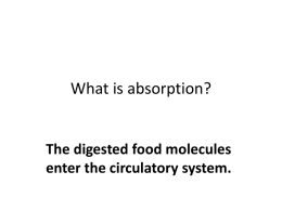 digestion and absorption