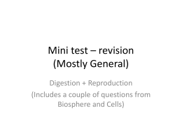 Mini test - revision
