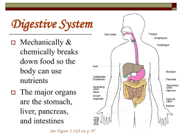 3.2 Organs and Systems