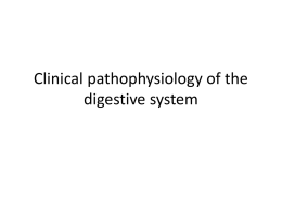 Lecture 24. Clinical pathophysiology of the digestive system