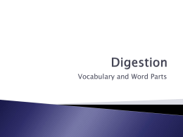 Digestion - West Ada