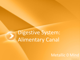 Digestive System: Alimentary Canal