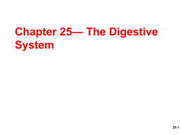 Ch25-Digestive