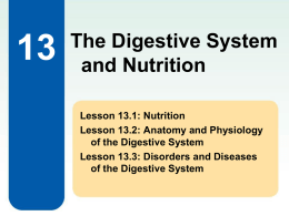 Disorders and Diseases of the Digestive System