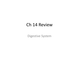 Ch 14 Review