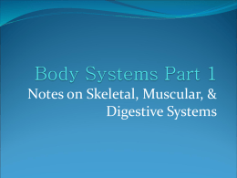 Body Systems Part 1