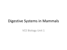 chapter 5 Mr halex - VCE Biology Units 1 and 2