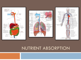 Nutrient Absorption (ALL 2015