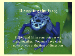 Dissecting_the_Frog - T. Schor Middle School