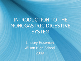 introduction to the monogastric digestive system
