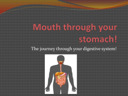 Mouth through your stomach!x