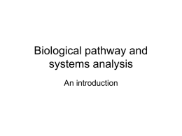 Pathway and Systems Analysis