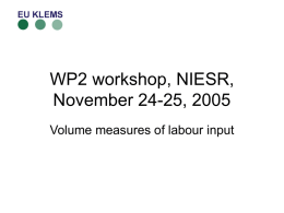 WP2 workshop, NIESR, November 24-25, 2005