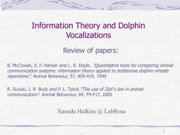 Information Theory and Dolphin Vocalizations