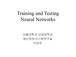 Training and Testing Neural Networks