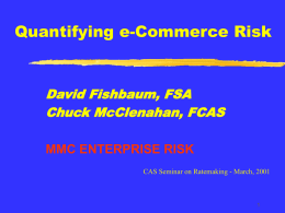 e-Commerce Risk - Casualty Actuarial Society
