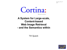 Cortina: a web image search engine