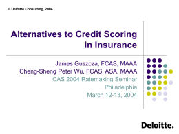 Deloitte Consulting, 2004