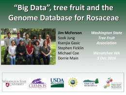 "Big Data", Tree Fruit and the Genome Database for Rosaceae
