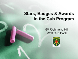 Badge System for Cubs - 6th Richmond Hill Scout Group