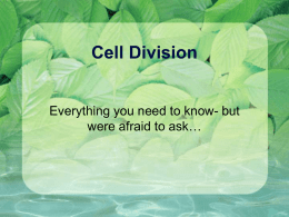 Cell Division - Downers Grove