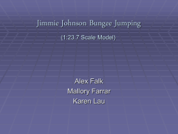 Jimmie Johnson Bungee Jump Model…