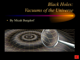 Black Holes: Vacuums of the Universe