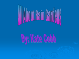 Multimedia Content-Kate Cobb All About Rain Gardens