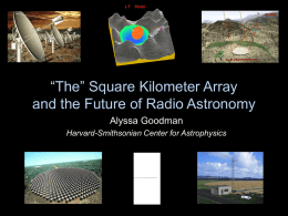 “The” Square Kilometer Array and the Future of Radio Astronomy